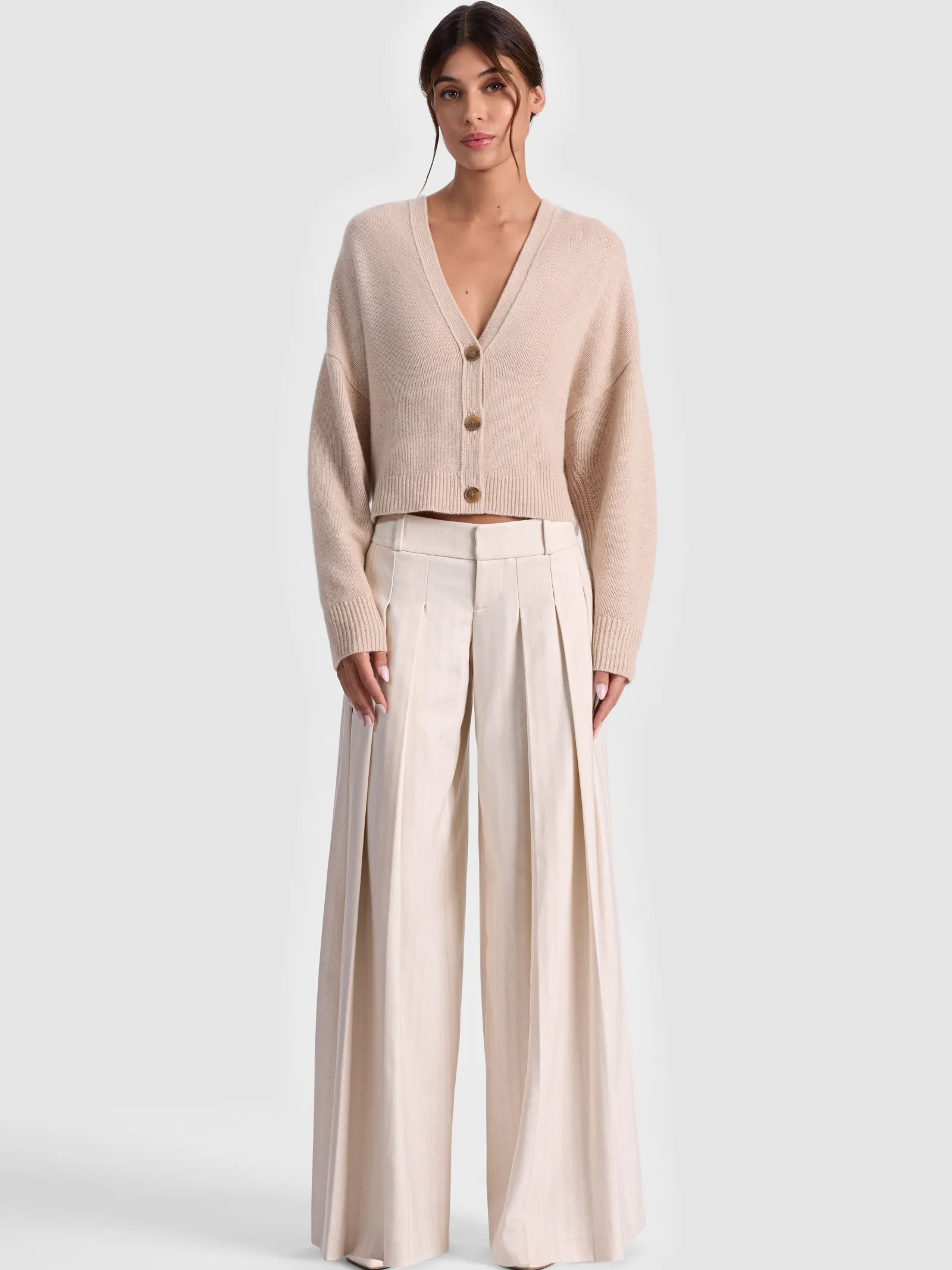 Alice and Olivia WIDE LEG*SIMON PLEATED TROUSER