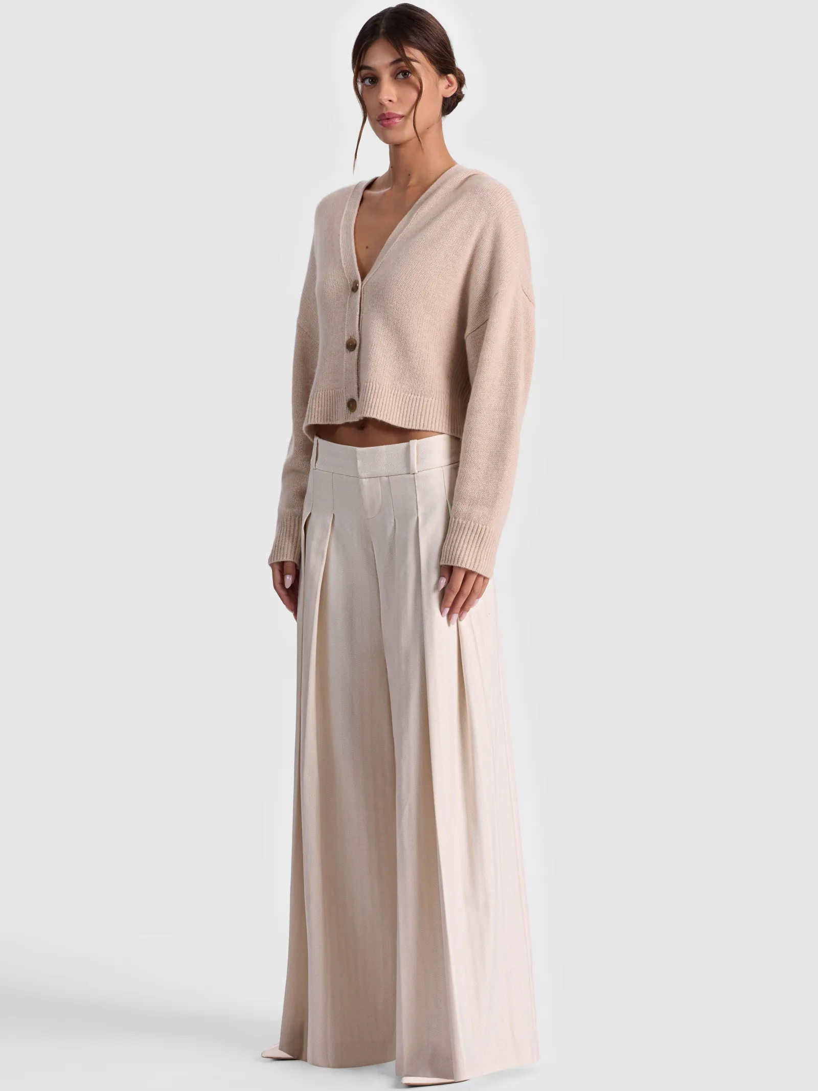 Alice and Olivia WIDE LEG*SIMON PLEATED TROUSER